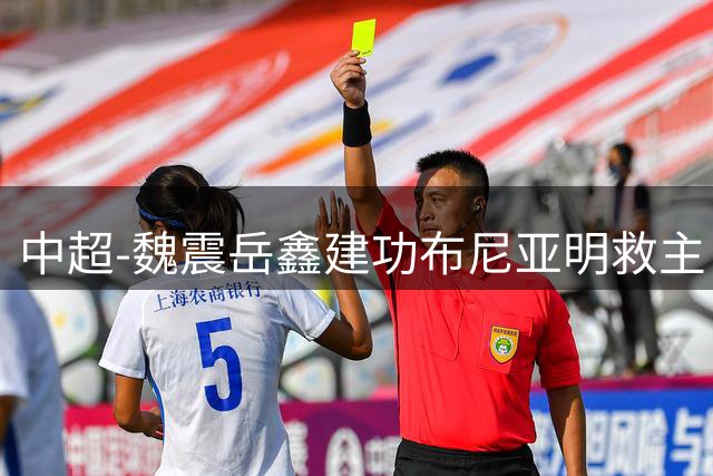 中超-魏震岳鑫建功布尼亚明救主 玉昆4分钟连扳两球2-2海港