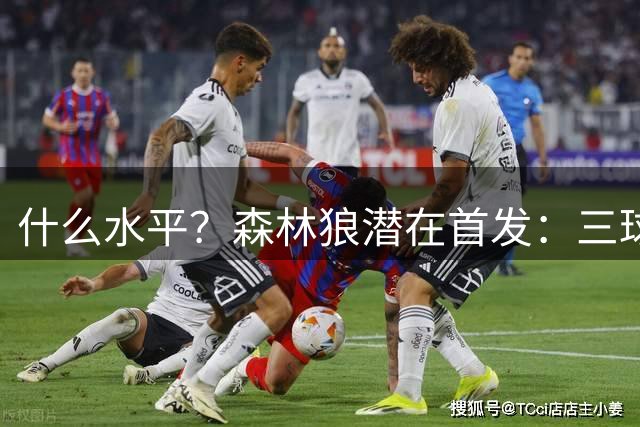 什么水平？森林狼潜在首发：三球、华子、库明加、麦丹、戈贝尔