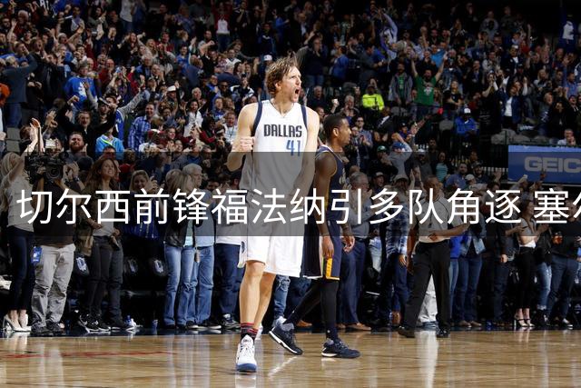 切尔西前锋福法纳引多队角逐 塞尔维特与土超豪门竞争激烈