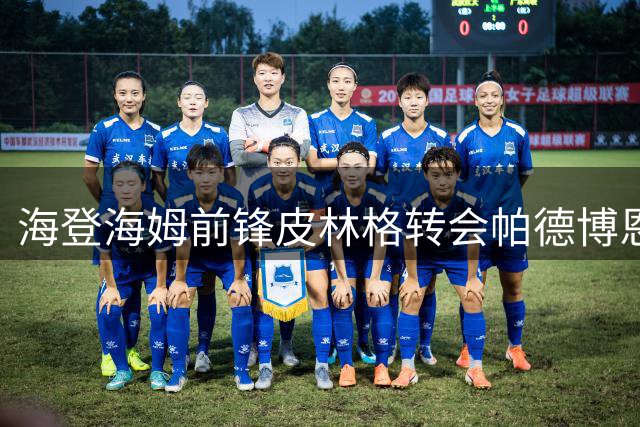 海登海姆前锋皮林格转会帕德博恩敲定