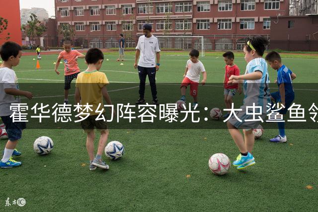 霍华德梦幻阵容曝光：大虫鲨鱼领衔 詹库组合压阵